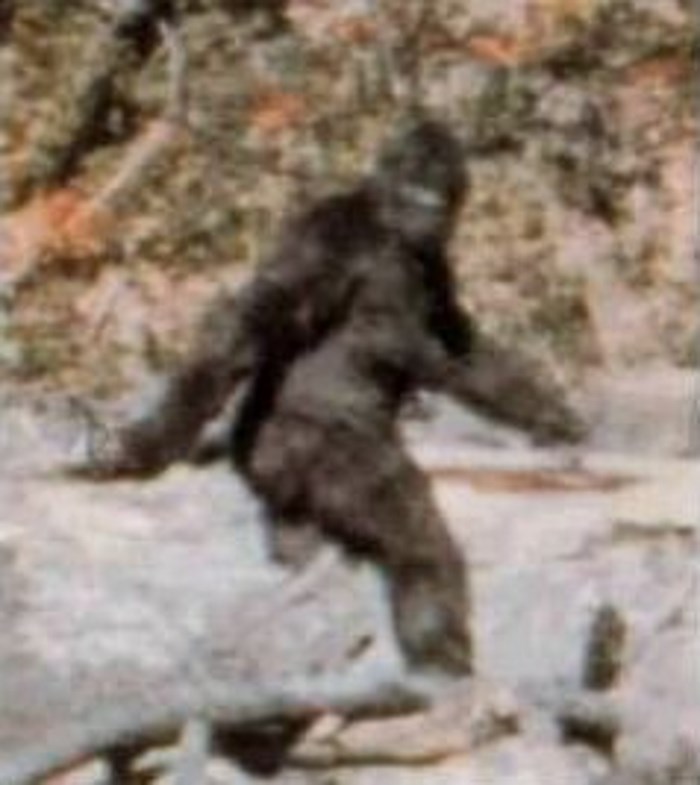 bigfoot