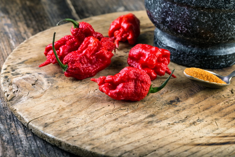 carolina Reaper