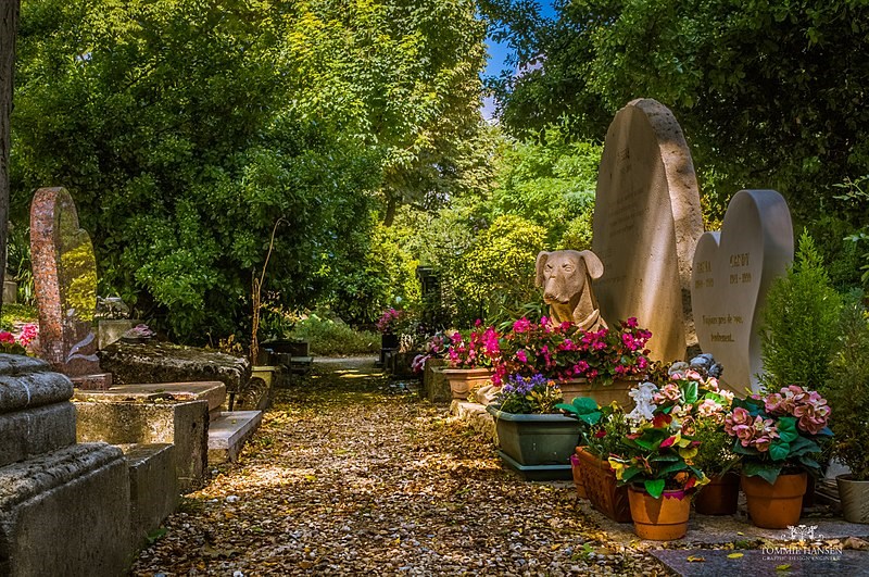 Cimetière des Chiens