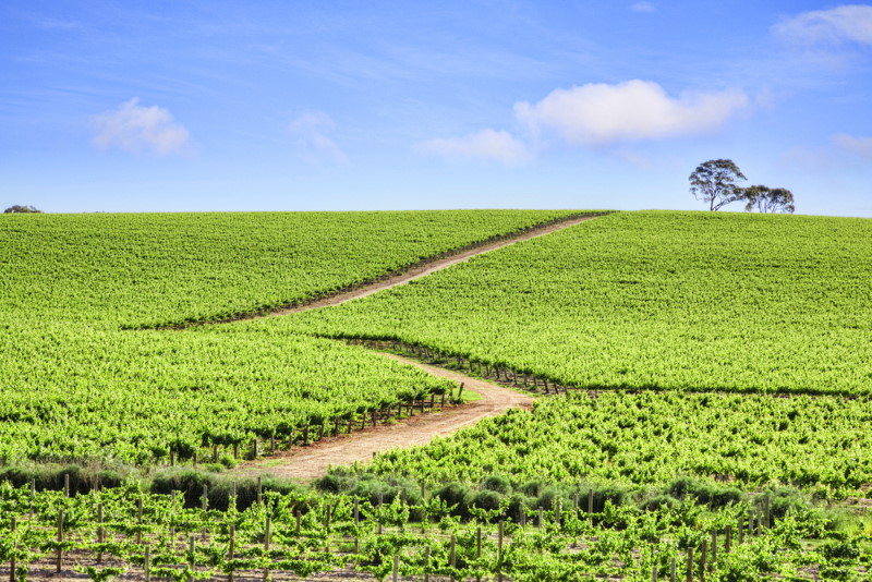 Clare Valley