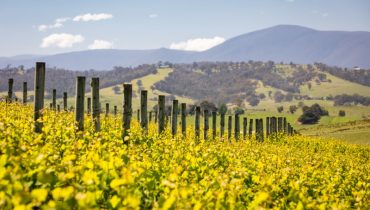 Yarra Valley